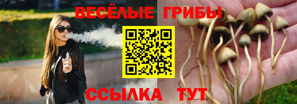 Галлюциногенные грибы Magic Shrooms Строитель